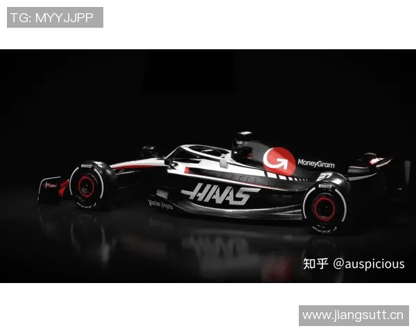 F1赛季车手实力深度对比与未来发展趋势分析 F1赛季车手实力深度对比与未来发展趋势分析